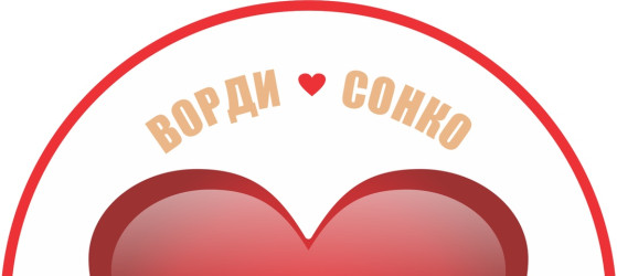 Завершено голосование по проектам регионального этапа конкурса лучших практик СОНКО