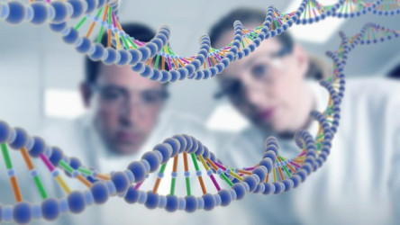 Специалисты Семейной приёмной РО ВОРДИ Севастополя при содействии УПР помогли ребёнку-инвалиду пройти дорогостоящее генетическое обследование
